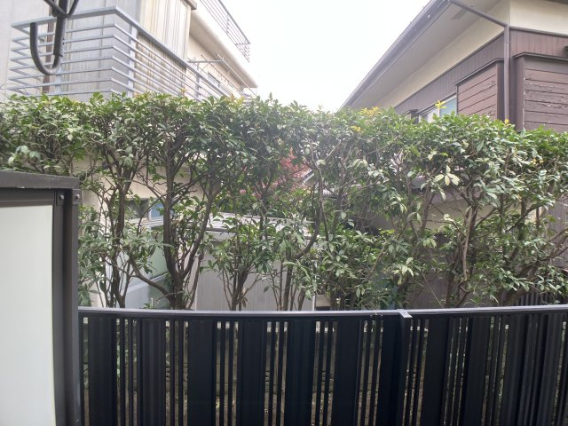 【展望】 | コープ・オリンピア