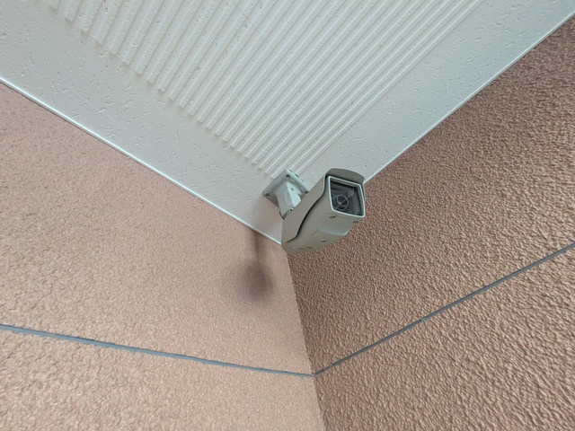 プリマヴェーラのセキュリティ