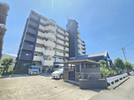 Collection東岸和田の画像