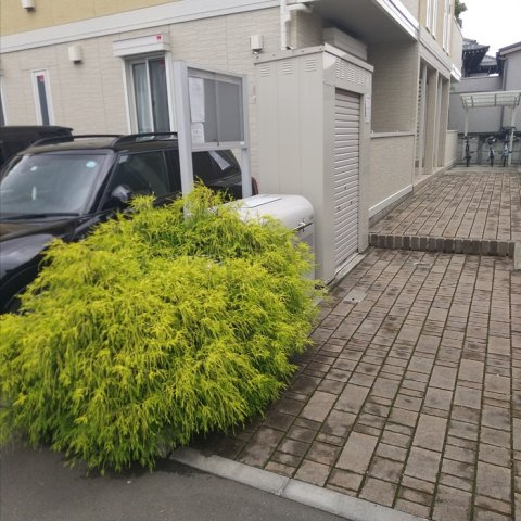 【エントランス】 | アンベリール　一番町