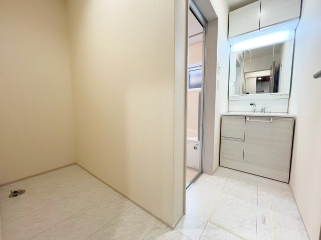 入間市東藤沢5丁目の独立洗面台|毎朝の準備に欠かせない洗面所です。