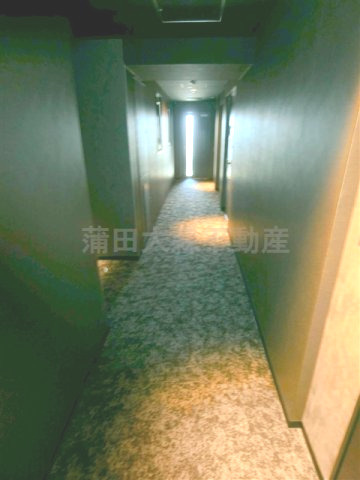ザ・パークハビオ蒲田のその他共用部分|絨毯張りの内廊下