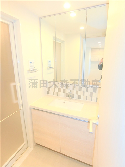 ザ・パークハビオ蒲田の洗面所|独立洗面台