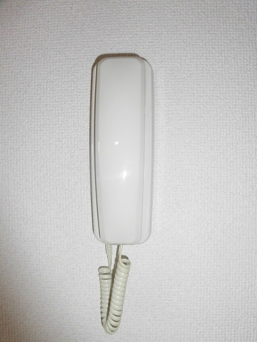 サンライズ豊B棟のセキュリティ|※室内画像は別号室のもの