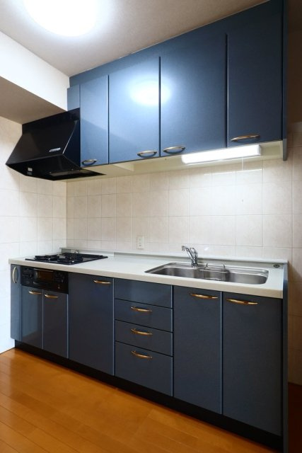 デュオ・スカーラ中野坂上のキッチン|お料理しやすいキッチンです