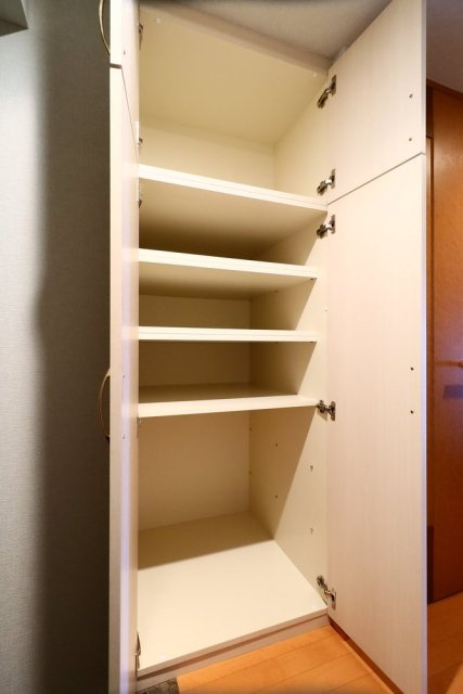 デュオ・スカーラ中野坂上の収納|収納のためのスペースです