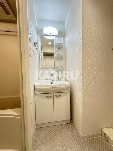 ふぁみ～ゆ巽東 の洗面所