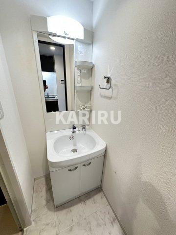 ふぁみ～ゆ巽東 の洗面所