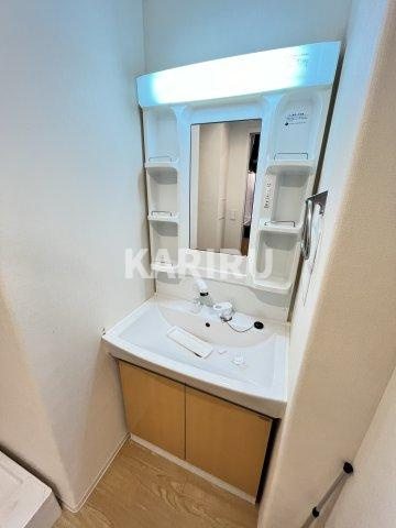 エイチ・ツーオー新深江の洗面所