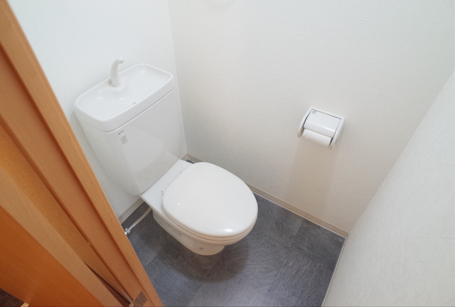 グラーツィア東灘のトイレ