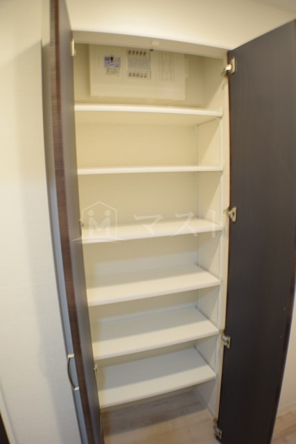 大阪市中央区東平１丁目の賃貸マンションの玄関