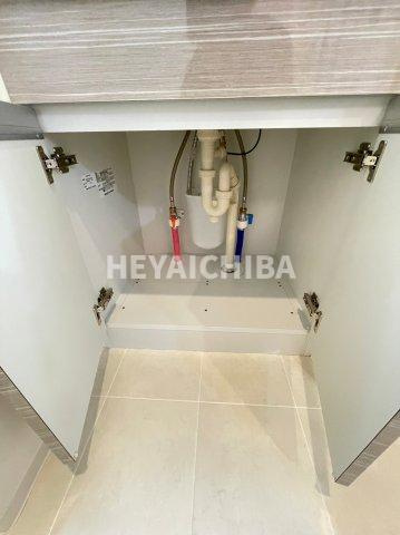 ラヴィエントタワーの洗面所|収納