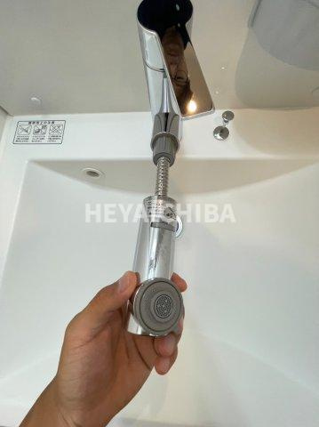 ラヴィエントタワーの洗面所|シャンプードレッサー