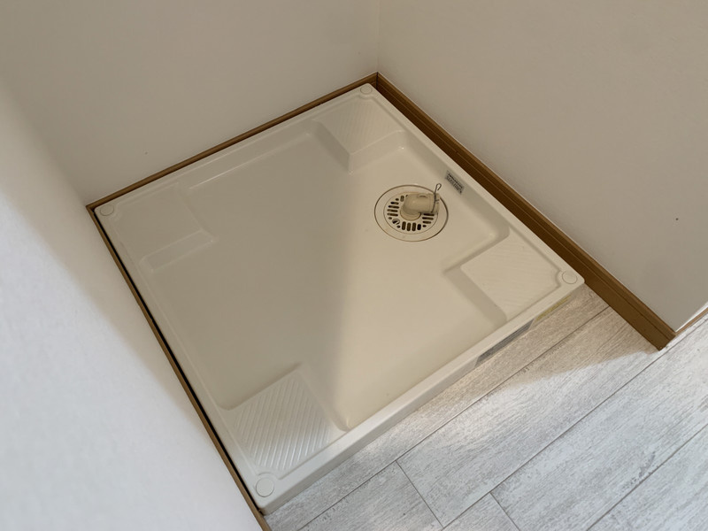 サンフローラ藤原の洗面所