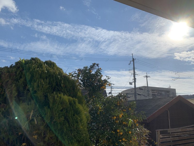 サンフローラ藤原の展望