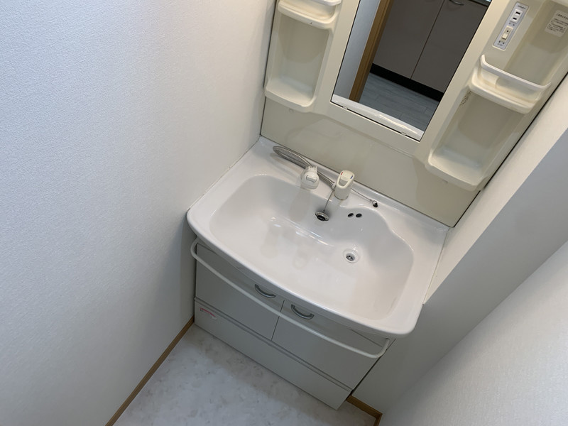 サンフローラ藤原の洗面所