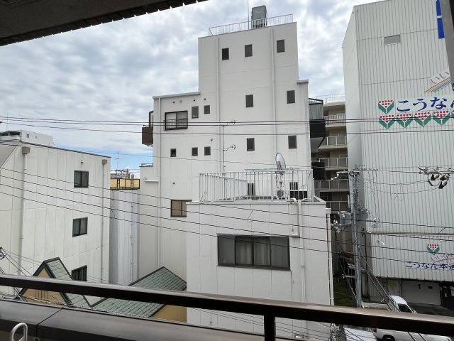 ブラウンコートの展望