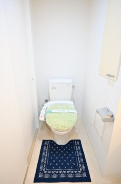 ヴィスタガーデン西荻窪のトイレ