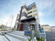 Ooya Harukasの画像