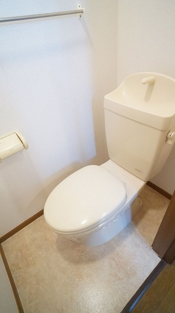 Ｎ・３９０のトイレ|トイレ