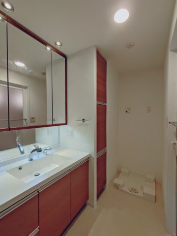 ワコーレ須磨ザ・フィールズの洗面所|洗面室も収納豊富です