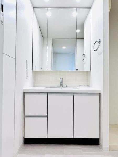 アパートメンツ三田の洗面所