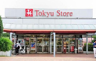 【周辺】 | 上池台コータースⅡ  