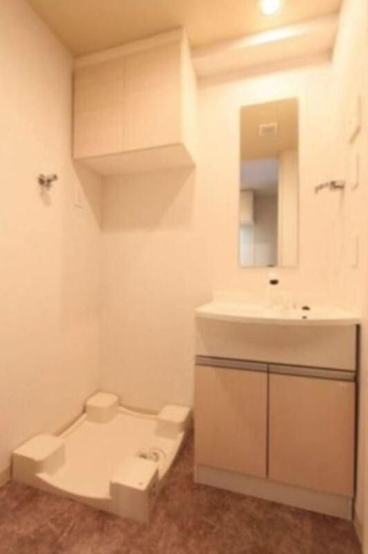 Le-lion西日暮里の洗面所