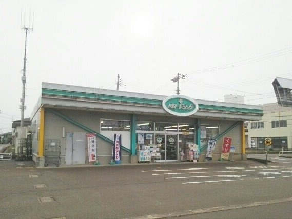 ピースフィールドの周辺|ハロードラッグまで1680m