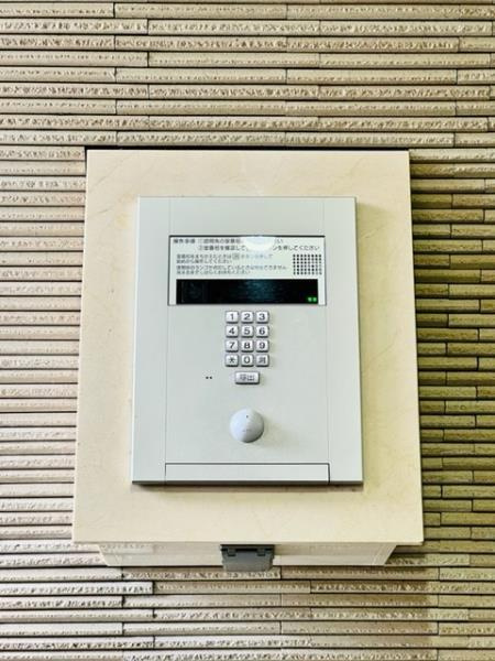 カスタリアのその他