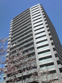 【外観】 | ル・サンクアイリスタワー