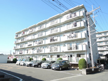 ＹＢＢＣの画像