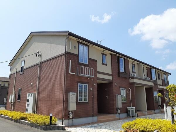 ハイビスカス　１の外観