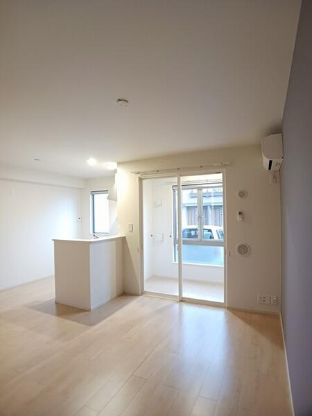 ハイビスカス　１のその他