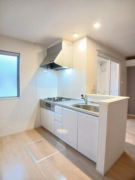 ハイビスカス　１のその他