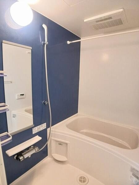 ハイビスカス　１のその他