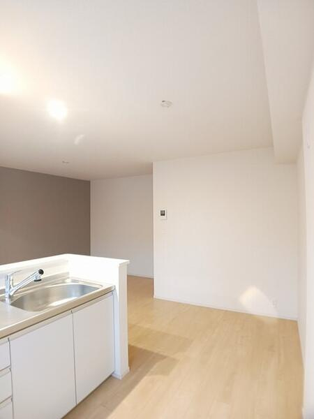 ハイビスカス　１のその他