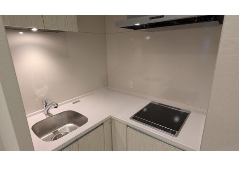 ザ・レジデンスパーク栄のキッチン|※同物件他部屋写真
反転、色違いの場合有
現況優先