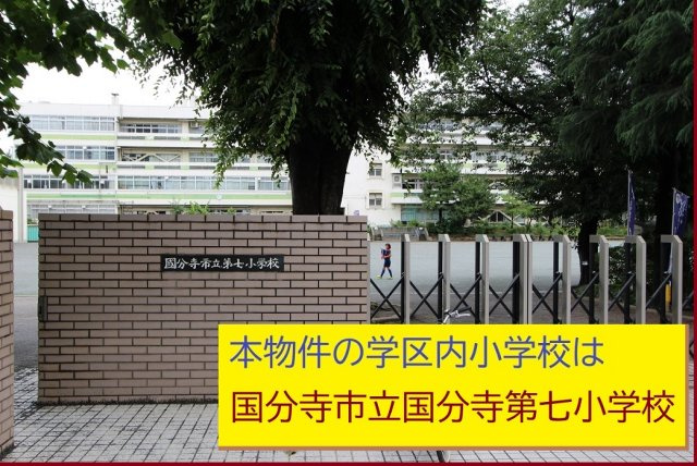 【Livele Garden.S】】国分寺本多第２期|本物件の学区内小学校は、「市立第７小学校」です