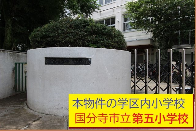 国分寺市日吉町３丁目の周辺|本物件の学区内小学校は、「市立第６小学校」です