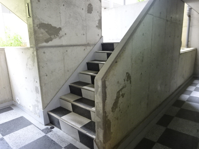 アスフローレスのその他