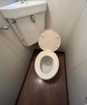 大阪市阿倍野区阪南町　中古テラスハウスのトイレ