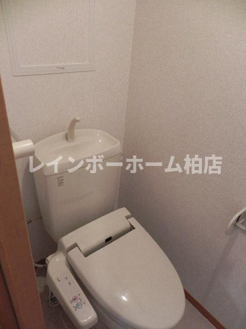 【仲介手数料：50％OFF】対象物件！のトイレ|落ち着いた色調のトイレです
