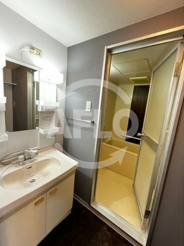 パークハイム南加賀屋の洗面所|パークハイム南加賀屋　洗面所