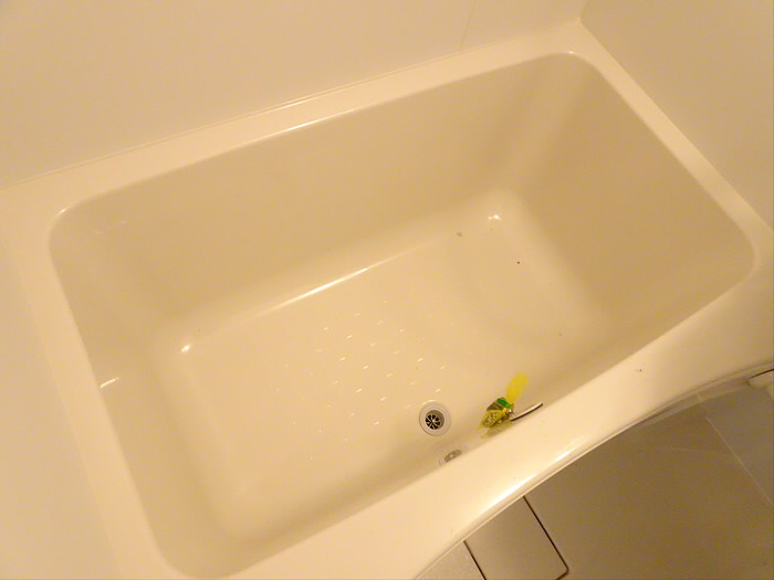 アスペンハイムの浴室