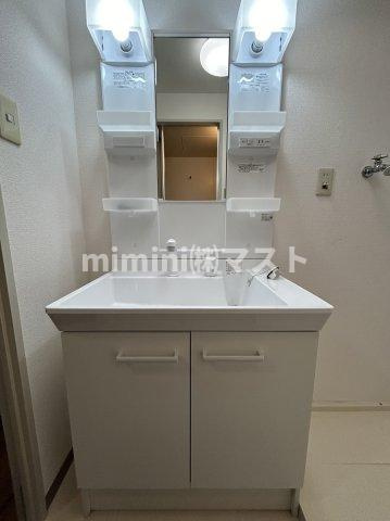 ドエル北堀江の洗面所