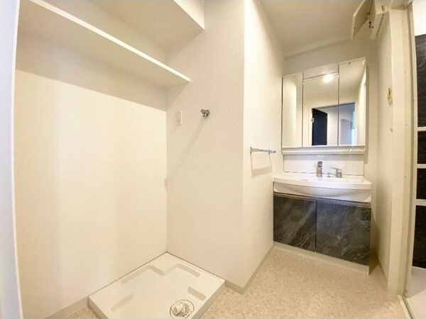 ウルフィエスタ徳川(旧 GRAN DUKE徳川)の洗面所