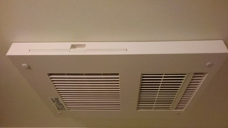 【その他】 | アムール