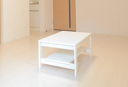 クレイノ美リーフⅣのその他|ローテーブル設置済