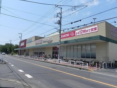 アルブル・ヴィラージュⅡの周辺|カスミ柏千代田店まで800m